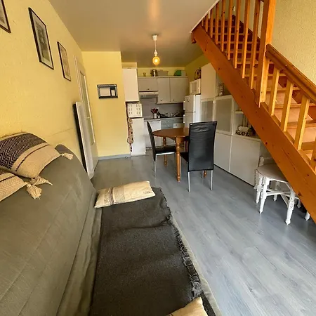 Appartement 3 Chambres Acces Direct A La Plage - Fr-1-197-597 Апартаменты *