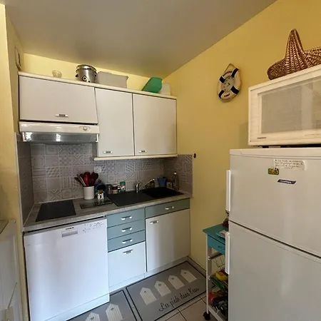 Апартаменты Appartement 3 Chambres Acces Direct A La Plage - Fr-1-197-597
